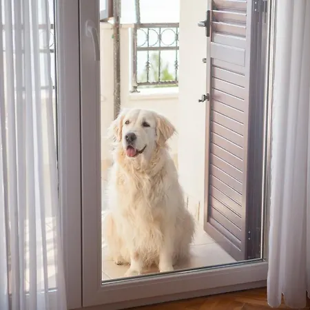 Lägenhet Panorama 2 *